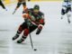 Dynamic action shot of a hockey player skating on an ice rink during a game.