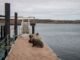 Two sea lions resting on a dock with a scenic view of the Falkland Islands coast.