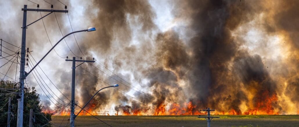 wildfires