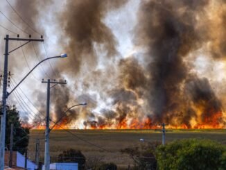 wildfires