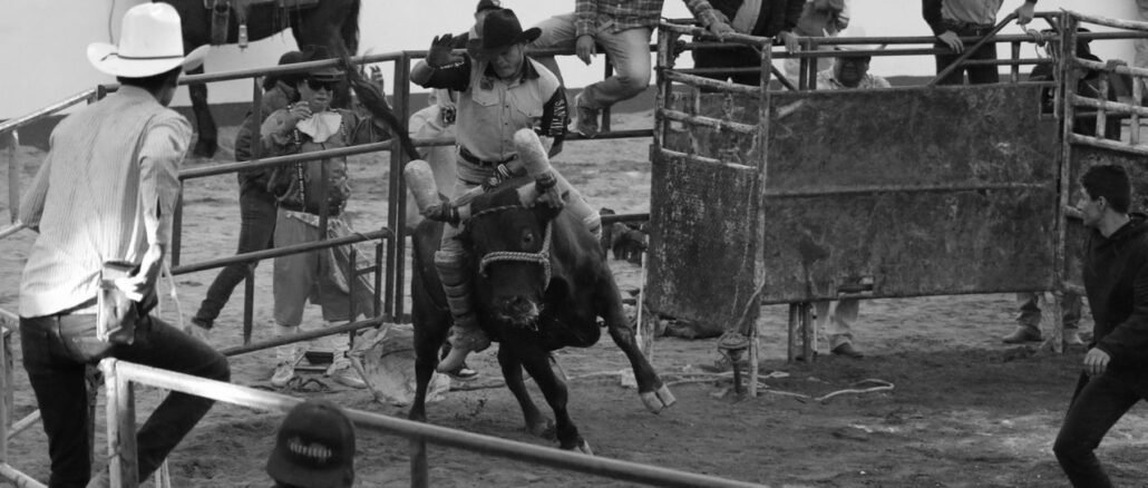 rodeo